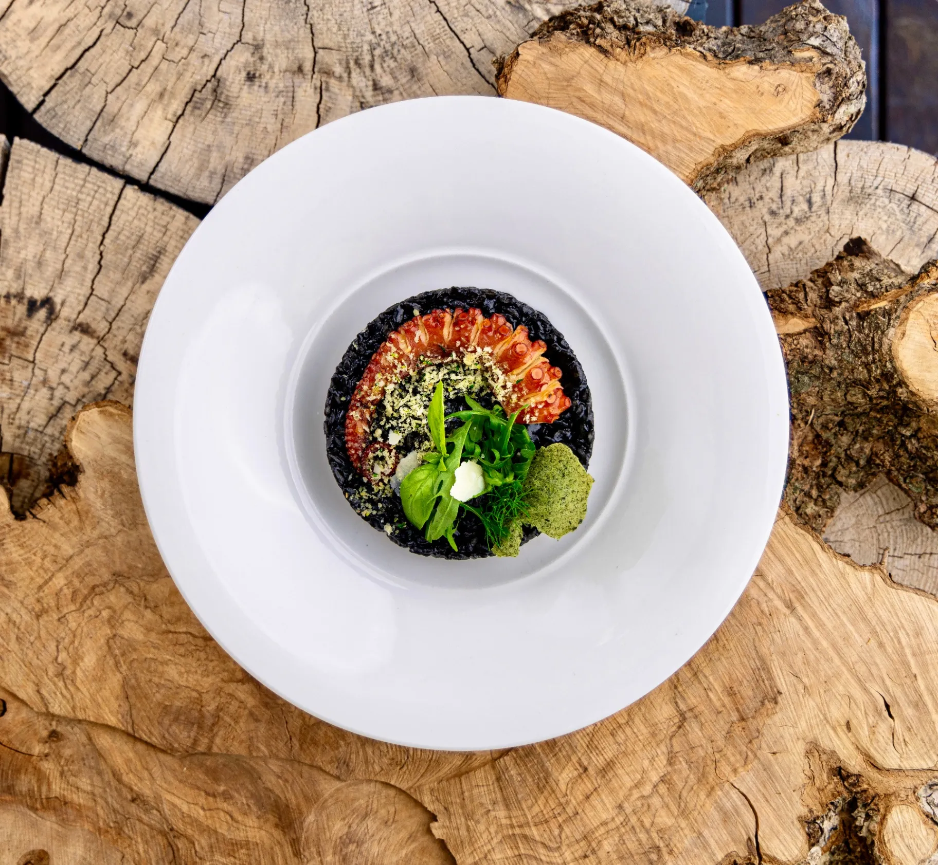 Mimi's Bistro — Octopus black risotto