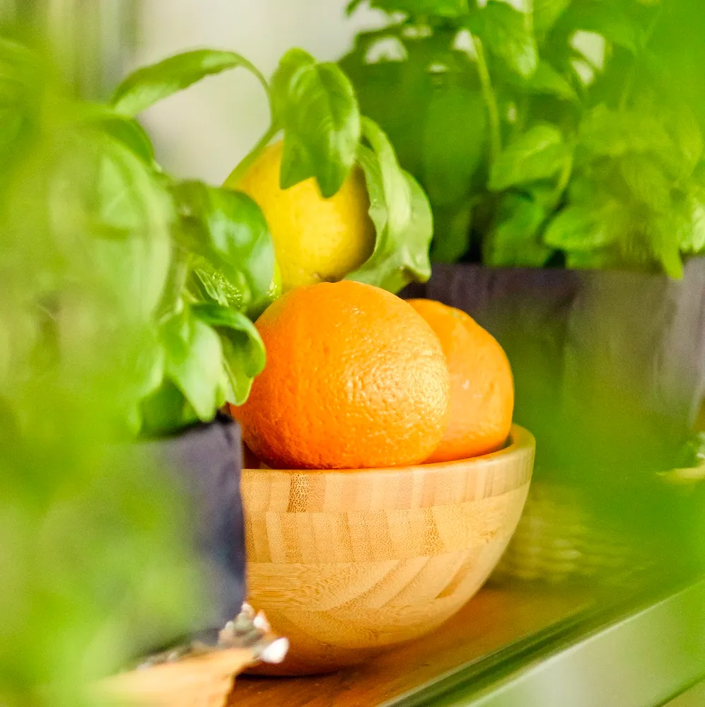 Mimi's Bistro — oranges